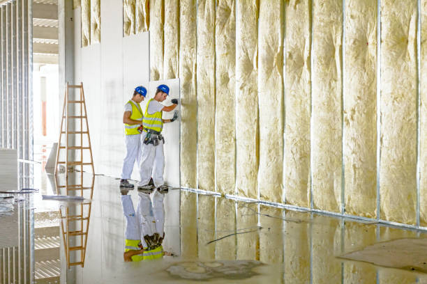 Best Eco-Friendly or Green Insulation Solutions  in Burlington, WI